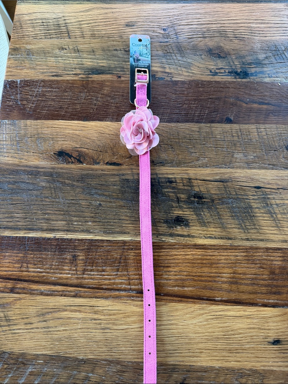 Coastal Pink Floral Dog Collar with Decorative Rose